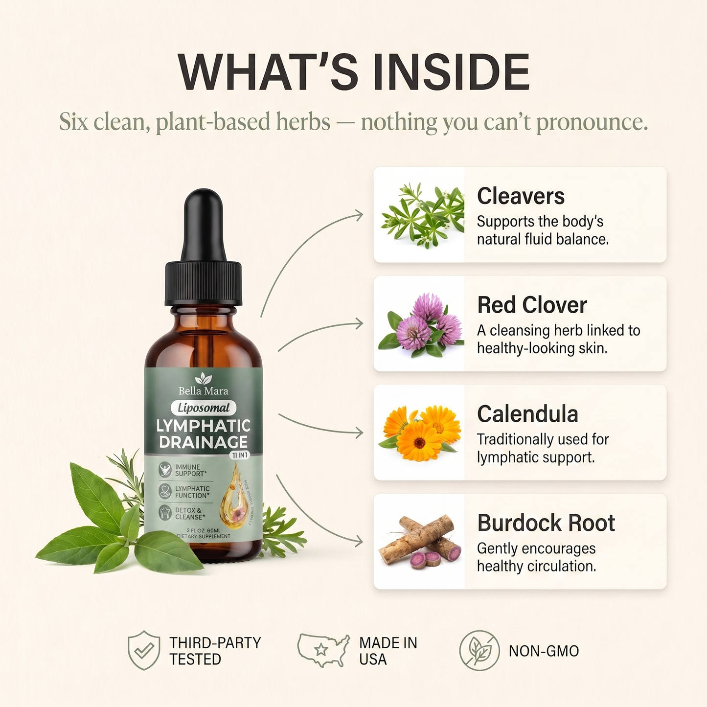 Bella Mara® Lymphatic Reset Drops